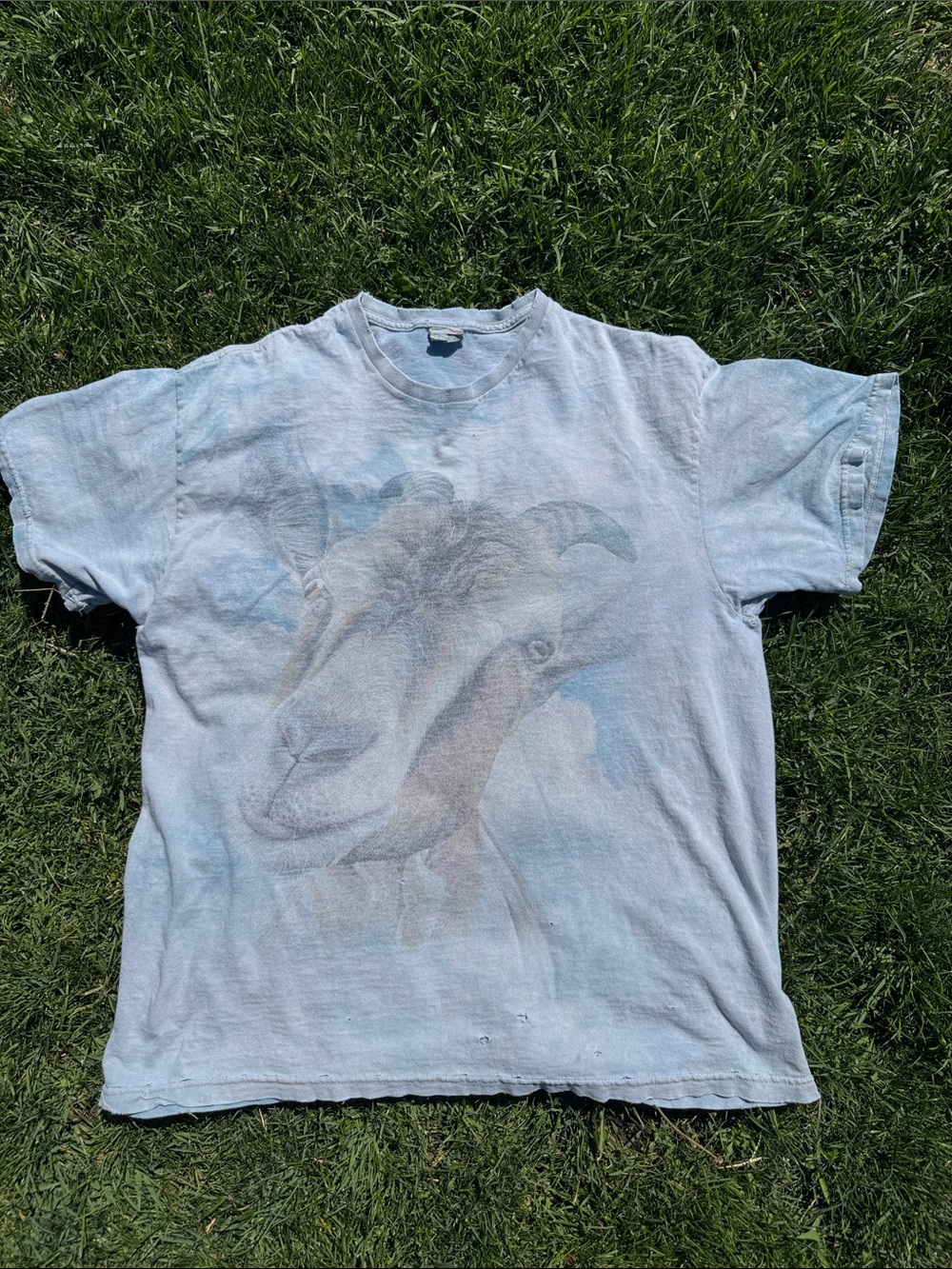 Light Blue Goat Graphic T-Shirt with lots of Wear
